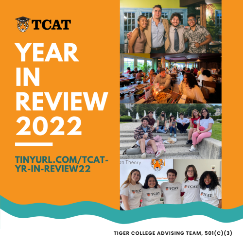 Mini flyer of Our Year in Review 2022